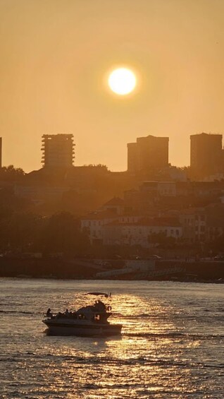 Picture 78 for Activity Porto: 6 Bridges Cruise, With Sunset Option - Small Groups 3