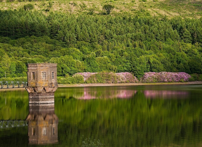 A stone structure by a calm lake, surrounded by dense green forest and pink flowering bushes. 2