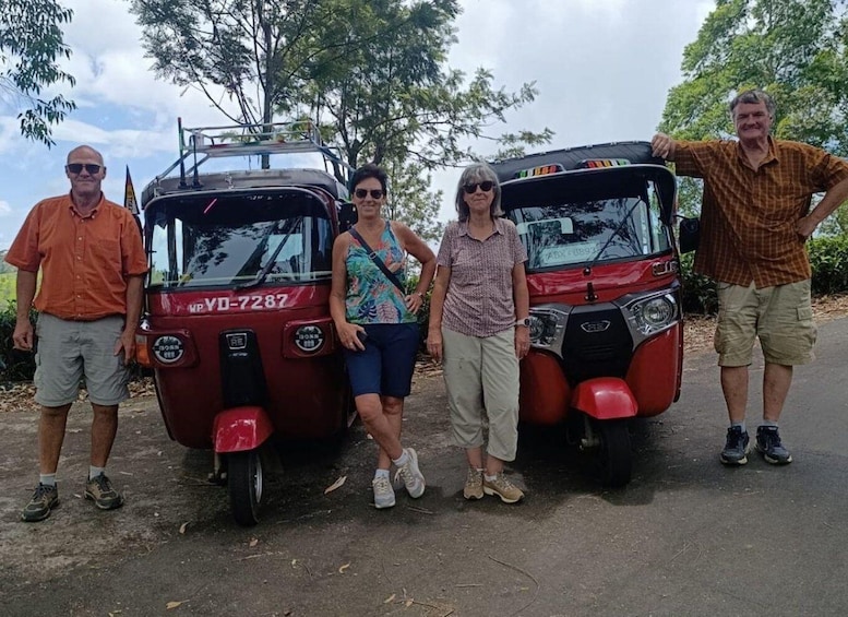Picture 3 for Activity From Ella: Tuk-Tuk Tea Adventure: Lipton's Seat Excursion! 5