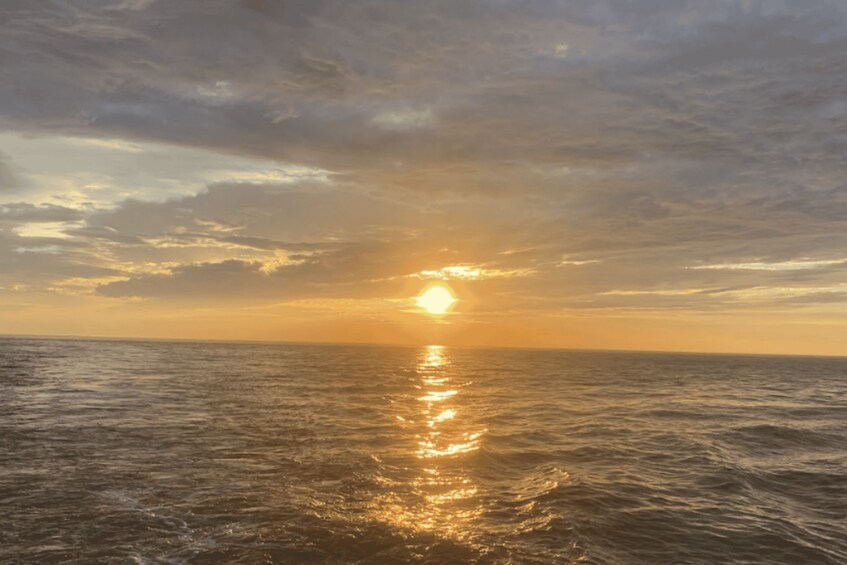 Picture 7 for Activity Cape May: Sunset Dolphin Cruise with Optional Wine Tastings 3
