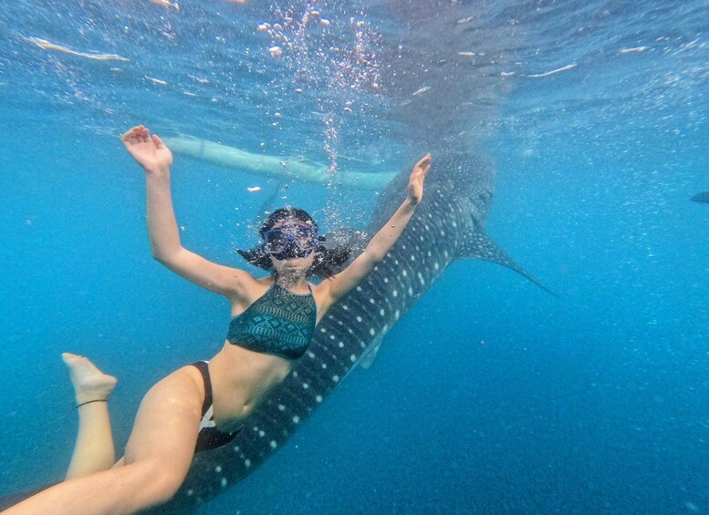 Picture 1 for Activity Oslob Whale Shark & Tumalog Waterfalls & Sumilon Sandbar 2