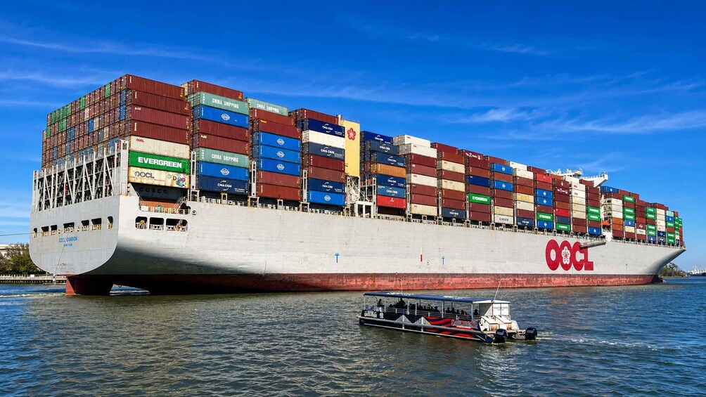 Savannah: Cruise Port Tour 1
