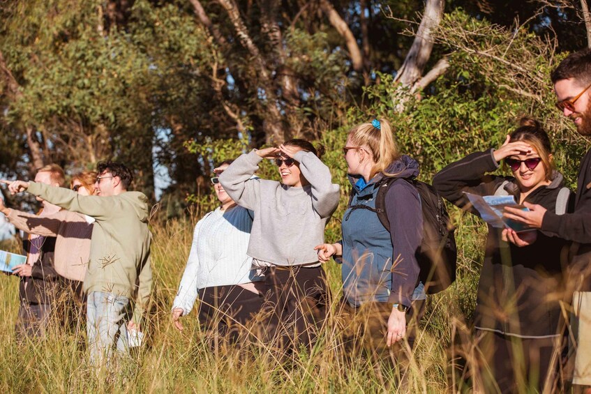 Picture 20 for Activity Lake Macquarie: Cruise and Guided Nature Walk with Lunch 4