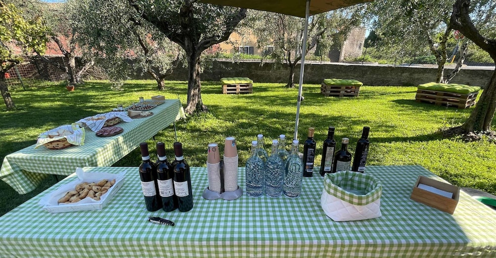 An outdoor picnic setup with checkered tablecloths, food, and wine bottles. 4