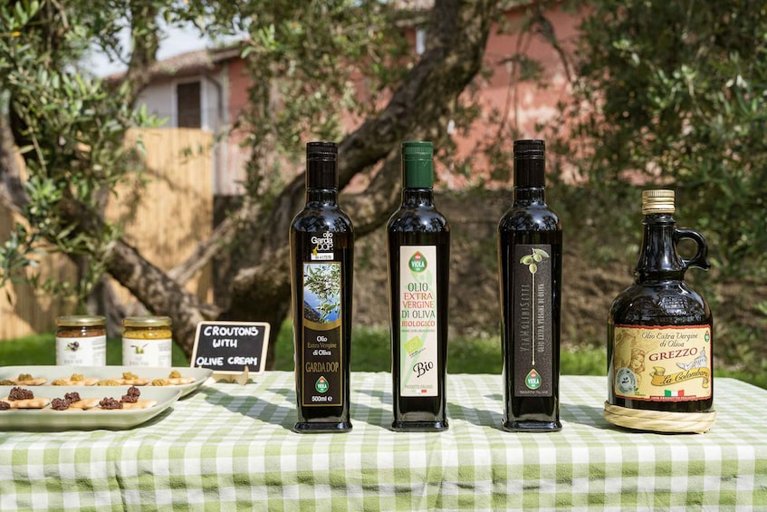 Four bottles of olive oil on a checkered tablecloth outdoors with trees and a house in the background. 5