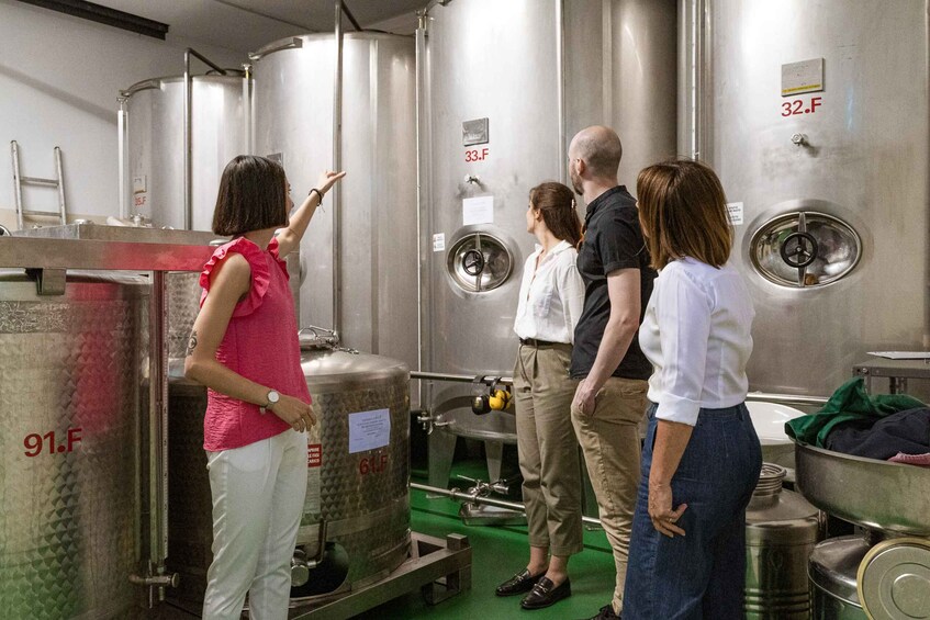 A group of people in a brewery, observing large stainless steel fermentation tanks labeled with numbers. 3