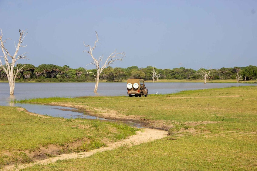 Picture 69 for Activity From Zanzibar: Day Selous Game Reserve Safari with Lunch 4