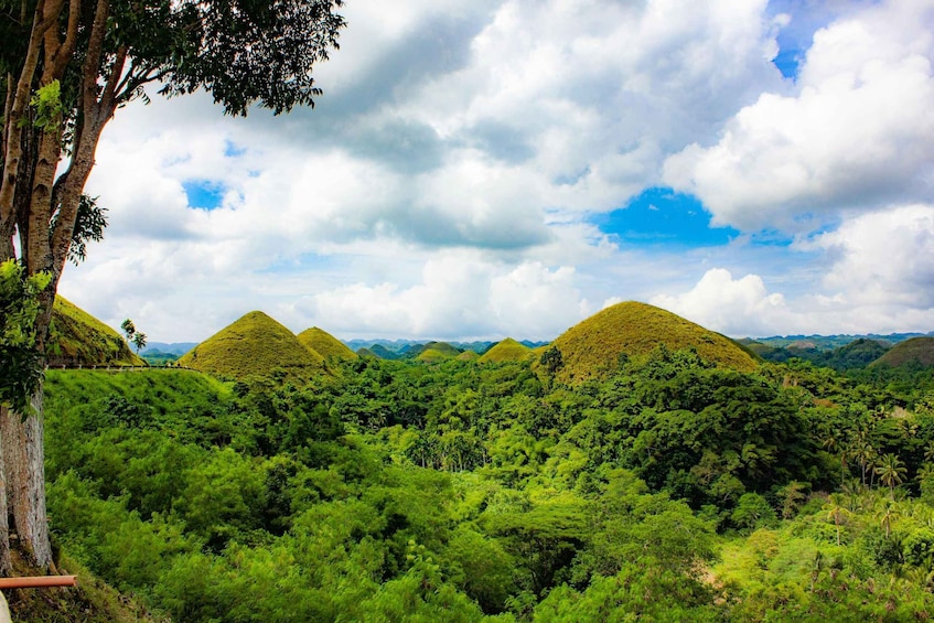 A lush green landscape with rolling hills and dense vegetation. 1