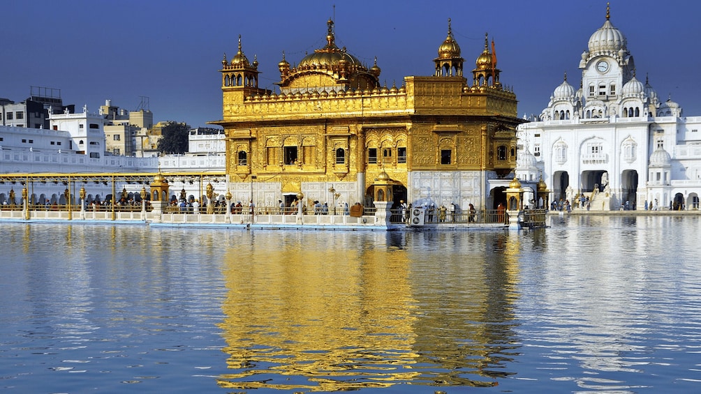 The Golden Temple with its reflection in the water, surrounded by white buildings. 2