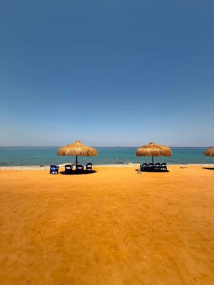 Picture 4 for Activity Cairo: Day Tour to the Red Sea with Lunch 3