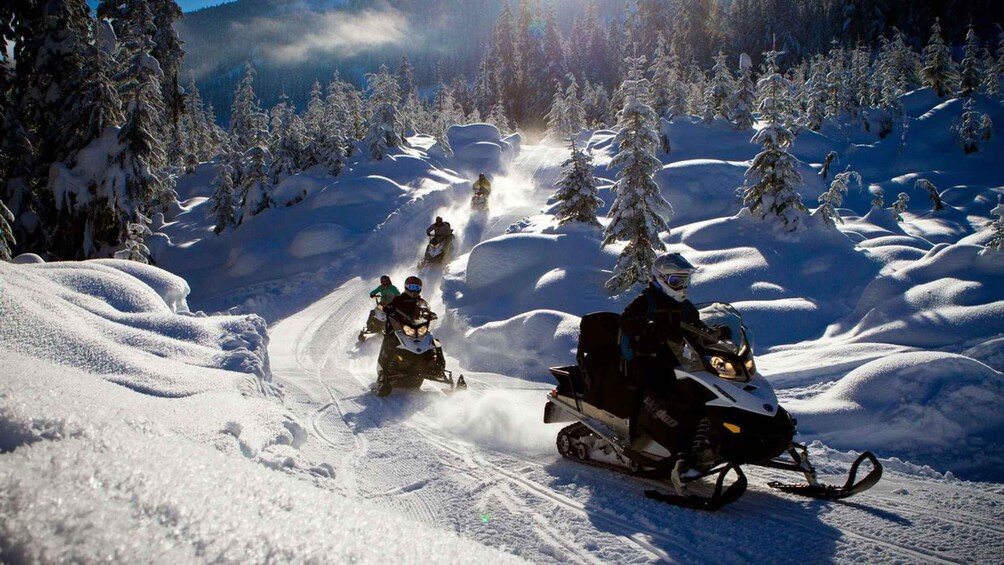 A snowmobile trail in a snowy forest with trees and a clear sky. 5