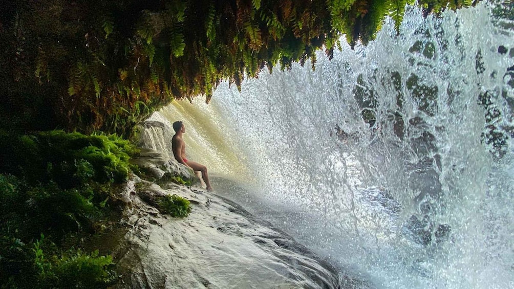 Picture 8 for Activity From Manaus: Presidente Figueiredo Waterfalls Daytrip 2