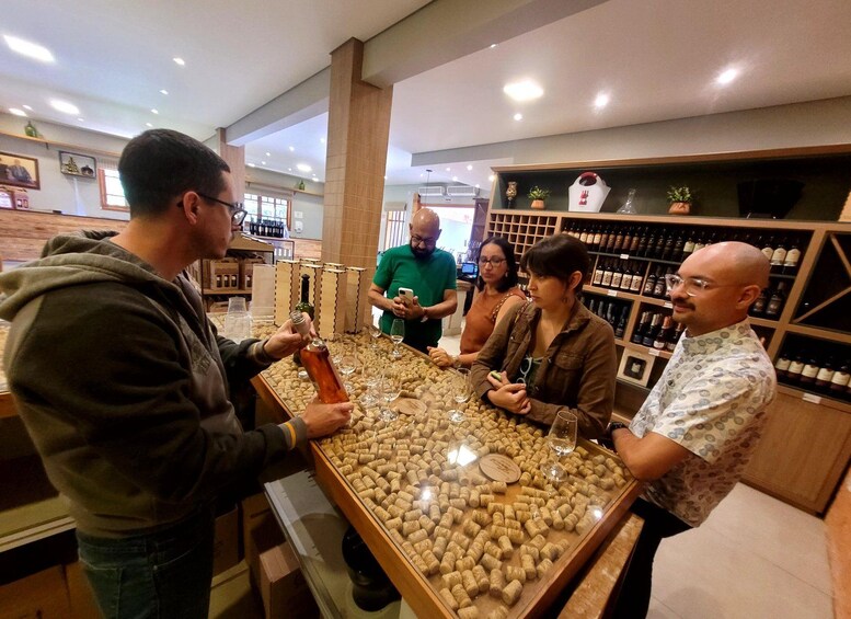 Picture 7 for Activity From São Paulo: São Roque Wineries Route and Tasting of Wine 2