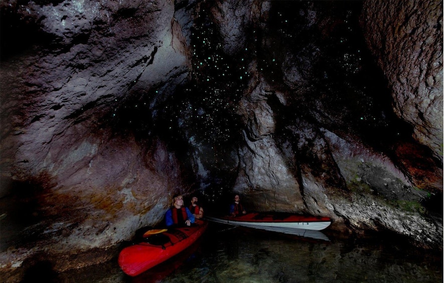 Picture 1 for Activity Hot Pools Kayak BBQ & Glow Worms 3