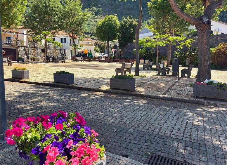 Picture 13 for Activity Madeira: Sunny South Side - Cable Car, Pta Sol, Jardim Mar 2