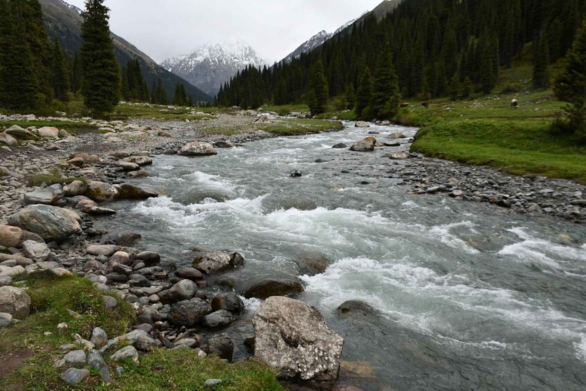 A river with rocks and a mountainous landscape in the background. 1