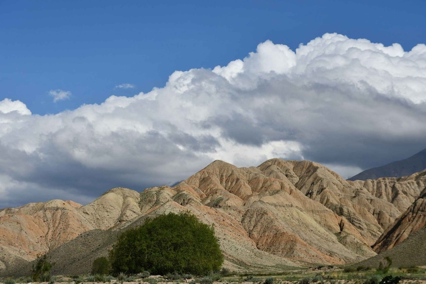 Picture 94 for Activity Kyrgyzstan 5-Days Issyk Kul, Song Kul Lake & Altyn Arashan 4