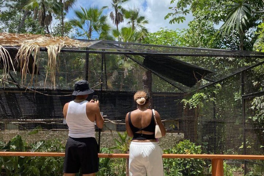 Due persone che osservano degli animali attraverso una recinzione metallica in uno zoo. 1
