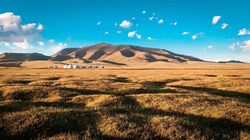 Picture 34 for Activity Kyrgyzstan Winter's 6-Days Nomadic Cultural Life & Cuisines 4