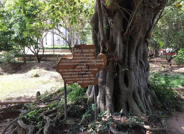 Half Day To Killing Field & S21 Genocidal Museum 1