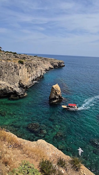 Picture 33 for Activity Syracuse: Ortigia Island and Sea Caves Boat Tour 2