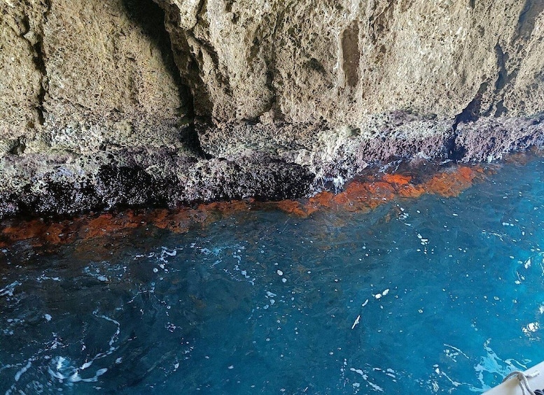 Picture 32 for Activity Syracuse: Ortigia Island and Sea Caves Boat Tour 2