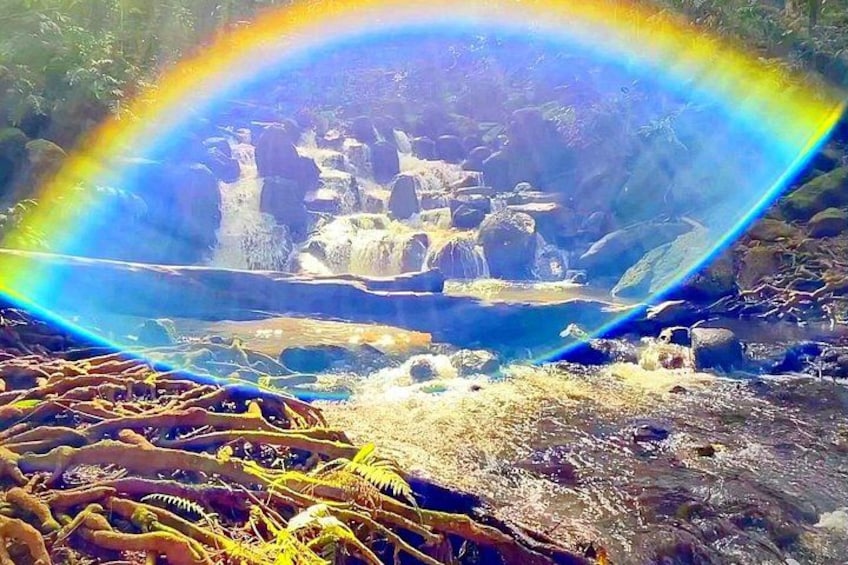 Kauai Adventure: Kayak & Hike to Secret Falls with Expert Guide 2