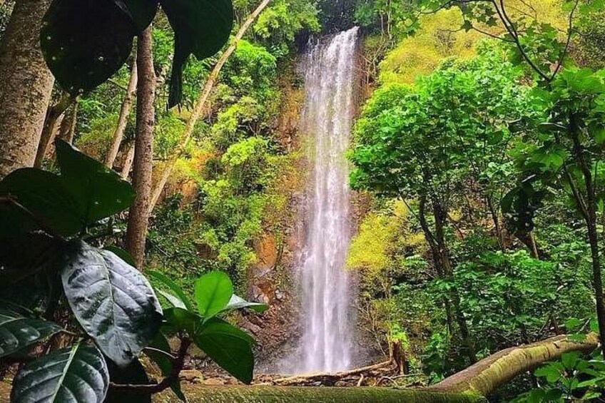 Kauai Adventure: Kayak & Hike to Secret Falls with Expert Guide 5