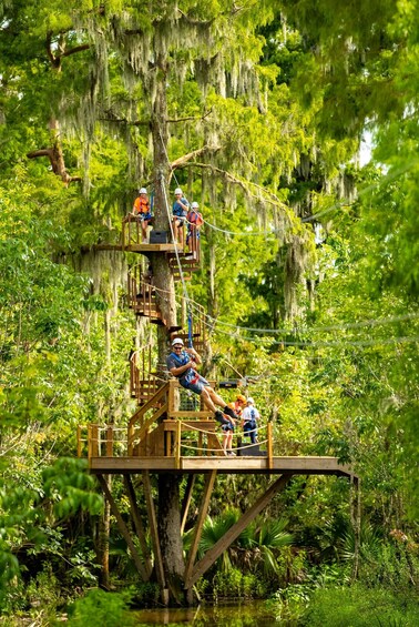 New Orleans: Swamp Zipline Tour 2