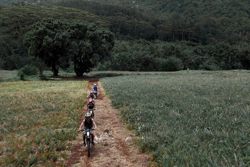 A group of cyclists on a dirt path surrounded by greenery. 4