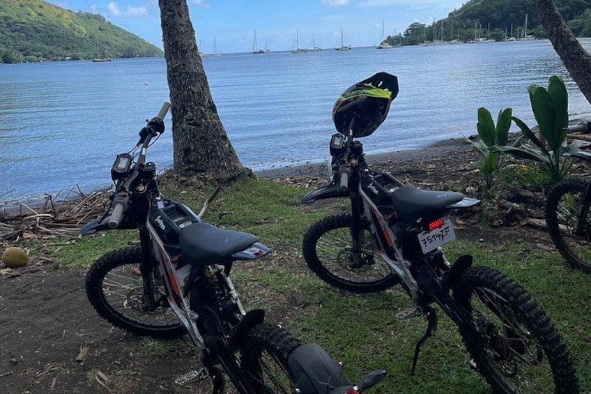 Two dirt bikes parked near a lake with a tree and some plants in the foreground. 5