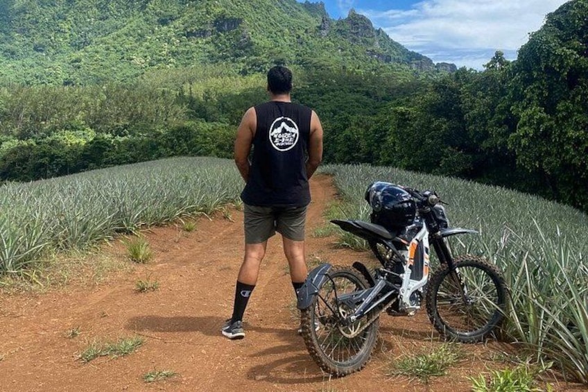 A person standing next to a dirt path with a motorcycle, surrounded by lush greenery and hills. 2