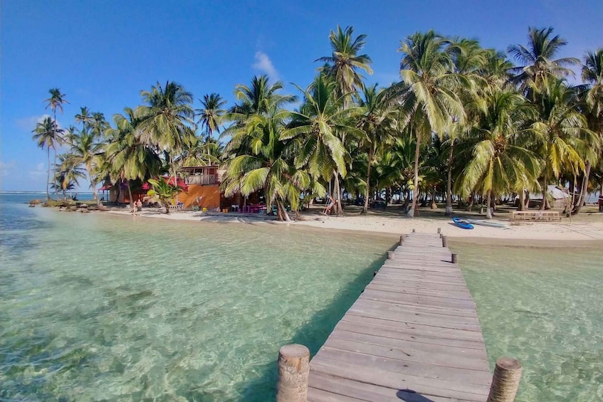 A wooden pier leading to a beach with clear turquoise water and palm trees. 2