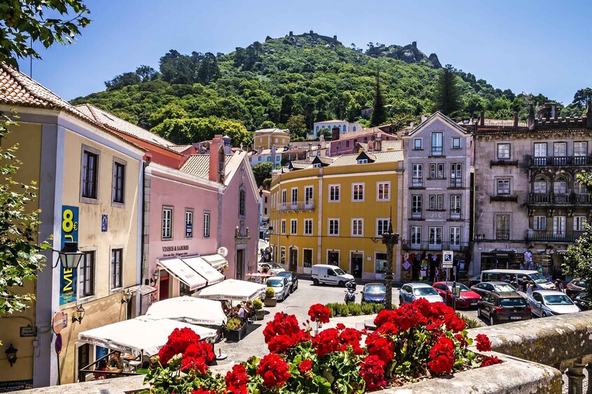 A street with colorful buildings, parked cars, and red flowers in the foreground. 2