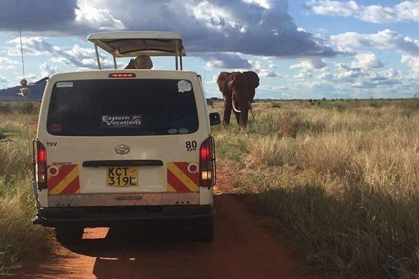 A white safari vehicle with a license plate KCT 319E on a dirt road. 5