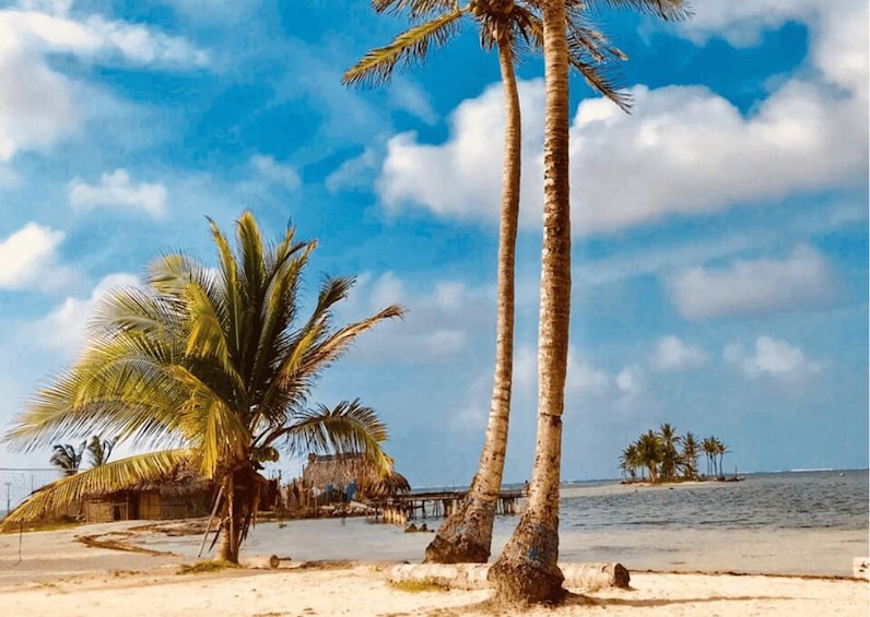 Una spiaggia con palme, una capanna con tetto di paglia e un molo che si estende nell'acqua. 5
