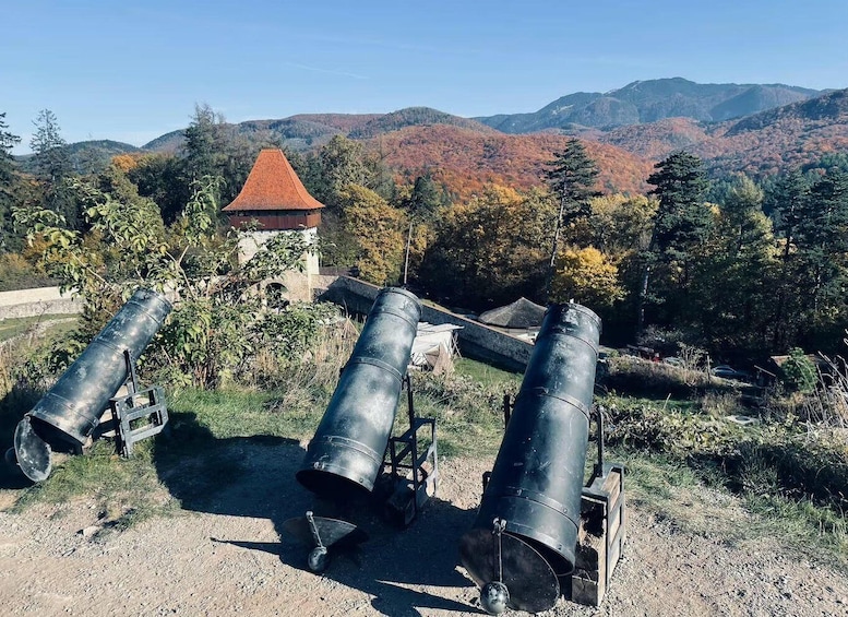 Picture 18 for Activity Brasov: Bear Sanctuary, Dracula Castle, and Râşnov Fortress 2