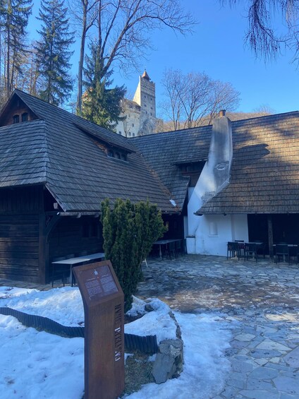 Picture 29 for Activity Brasov: Bear Sanctuary, Dracula Castle, and Râşnov Fortress 5