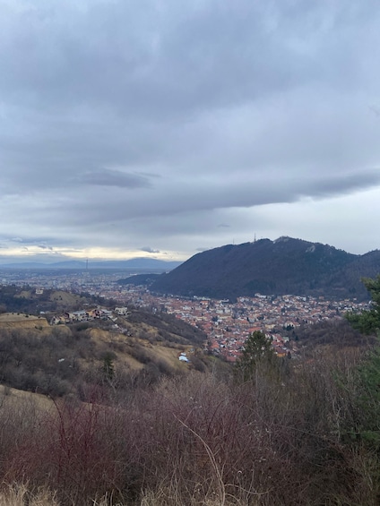 Picture 20 for Activity Brasov: Bear Sanctuary, Dracula Castle, and Râşnov Fortress 4