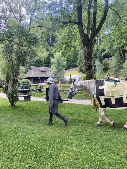 Picture 33 for Activity Brasov: Bear Sanctuary, Dracula Castle, and Râşnov Fortress 2