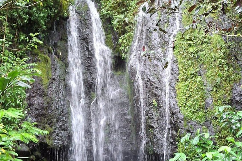 Een waterval stort neer over een rotswand, omgeven door weelderige begroeiing. 2