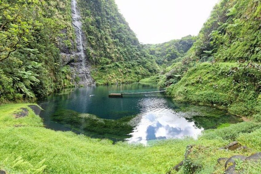 Un lago tranquillo circondato da vegetazione rigogliosa e una cascata. 3