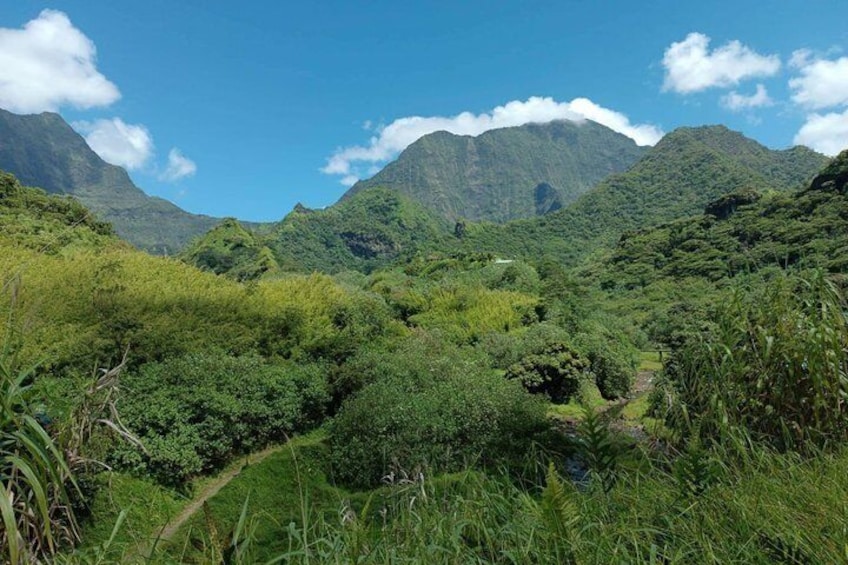 Crossing Island of Tahiti 4x4 Mountain, Waterfall, River, Basins 3