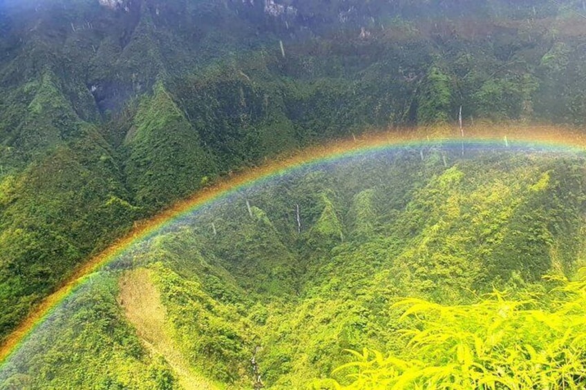 Crossing Island of Tahiti 4x4 Mountain, Waterfall, River, Basins 4