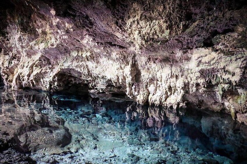 Dolphin tour, Jozani Forest, Jambiani Kuza Cave, Paje Beach &The Rock restaurent 2