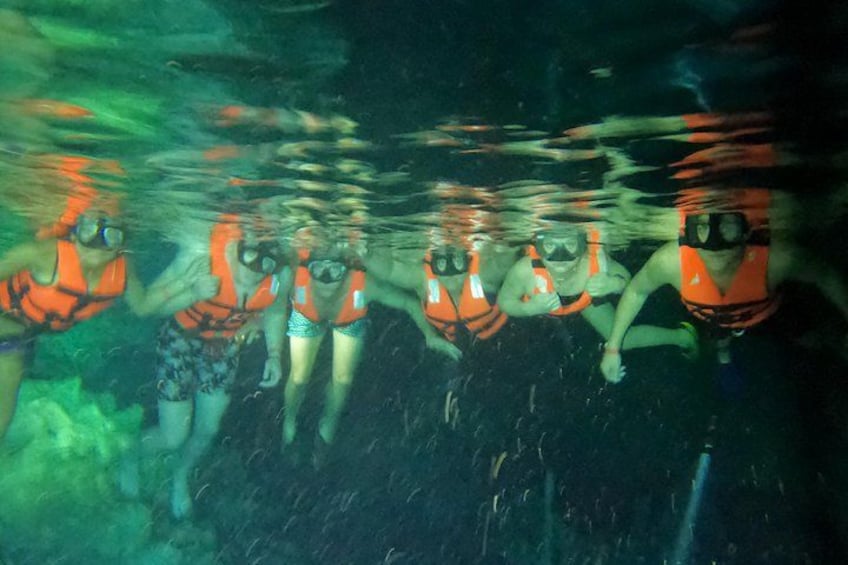 Private Tour Swim with Turtles, 2 Cenotes & Gopro 4