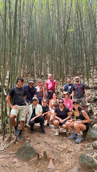 A group of people in a bamboo forest. 5