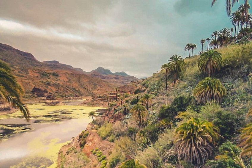 The Red Canyon Tour - Small Group Trip with Local Food Tasting ツ 2
