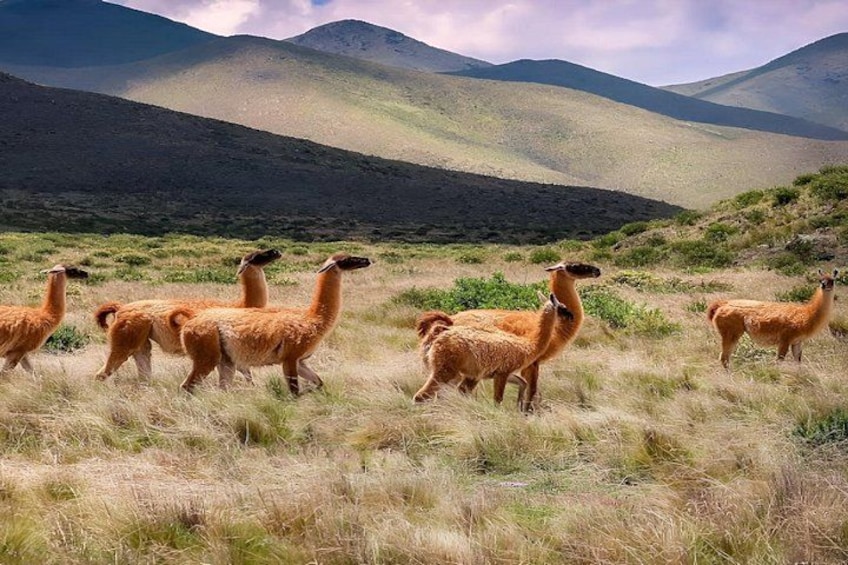 From Jujuy: Serranías del Hornocal and the hill of 14 colors 2