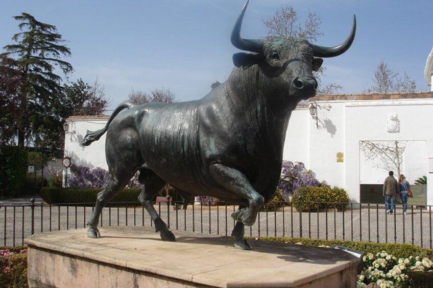 Toro 2